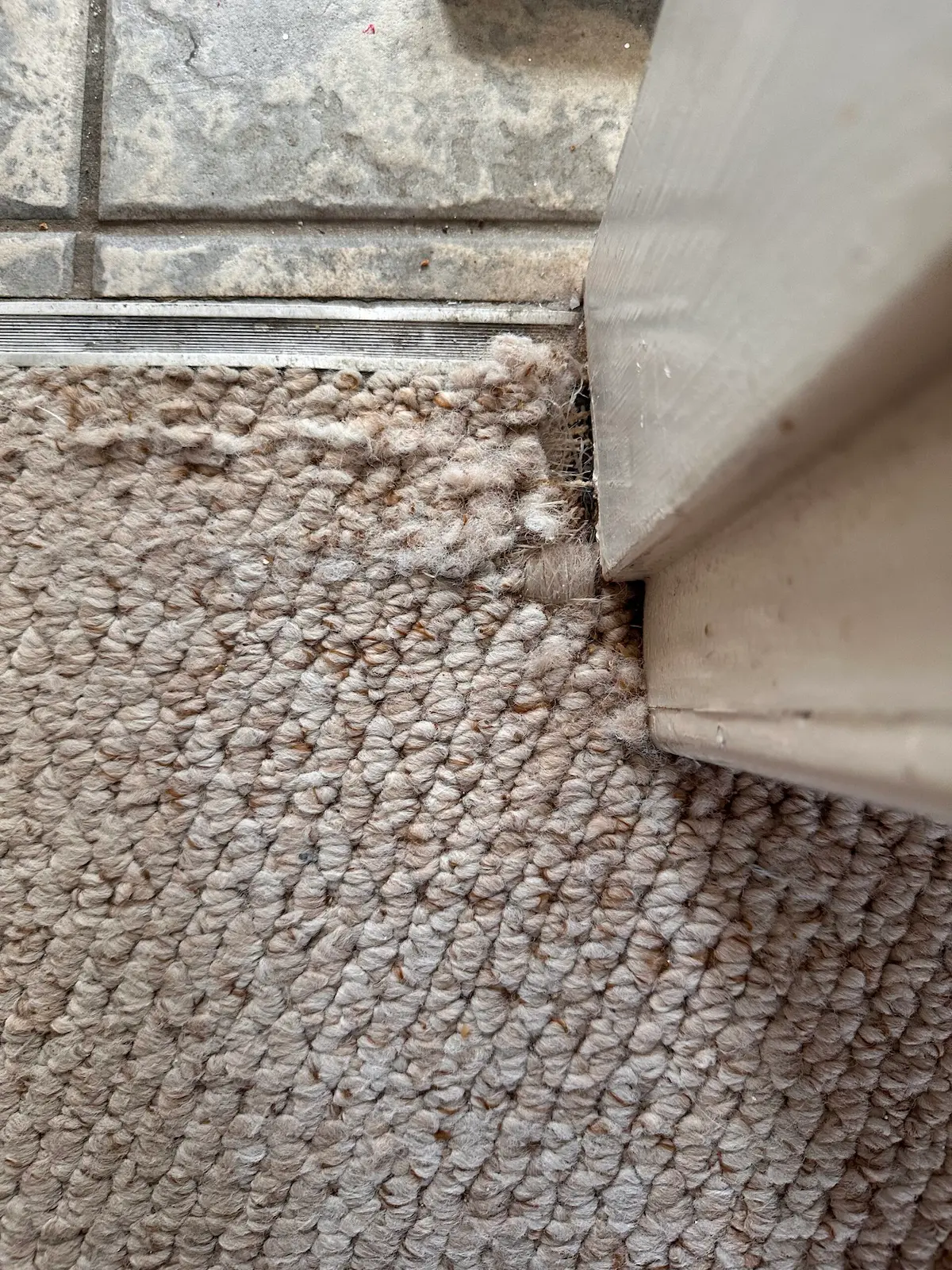 carpet repair before