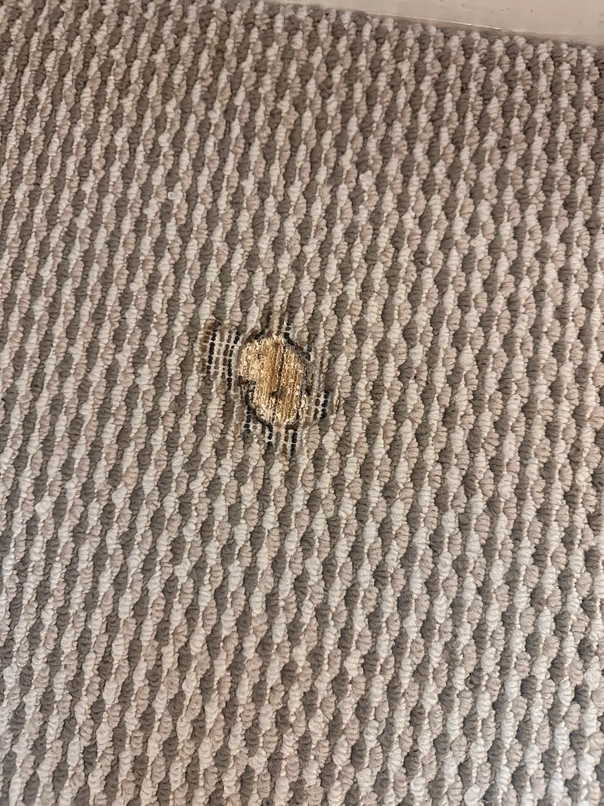 Carpet Repair & Restoration before