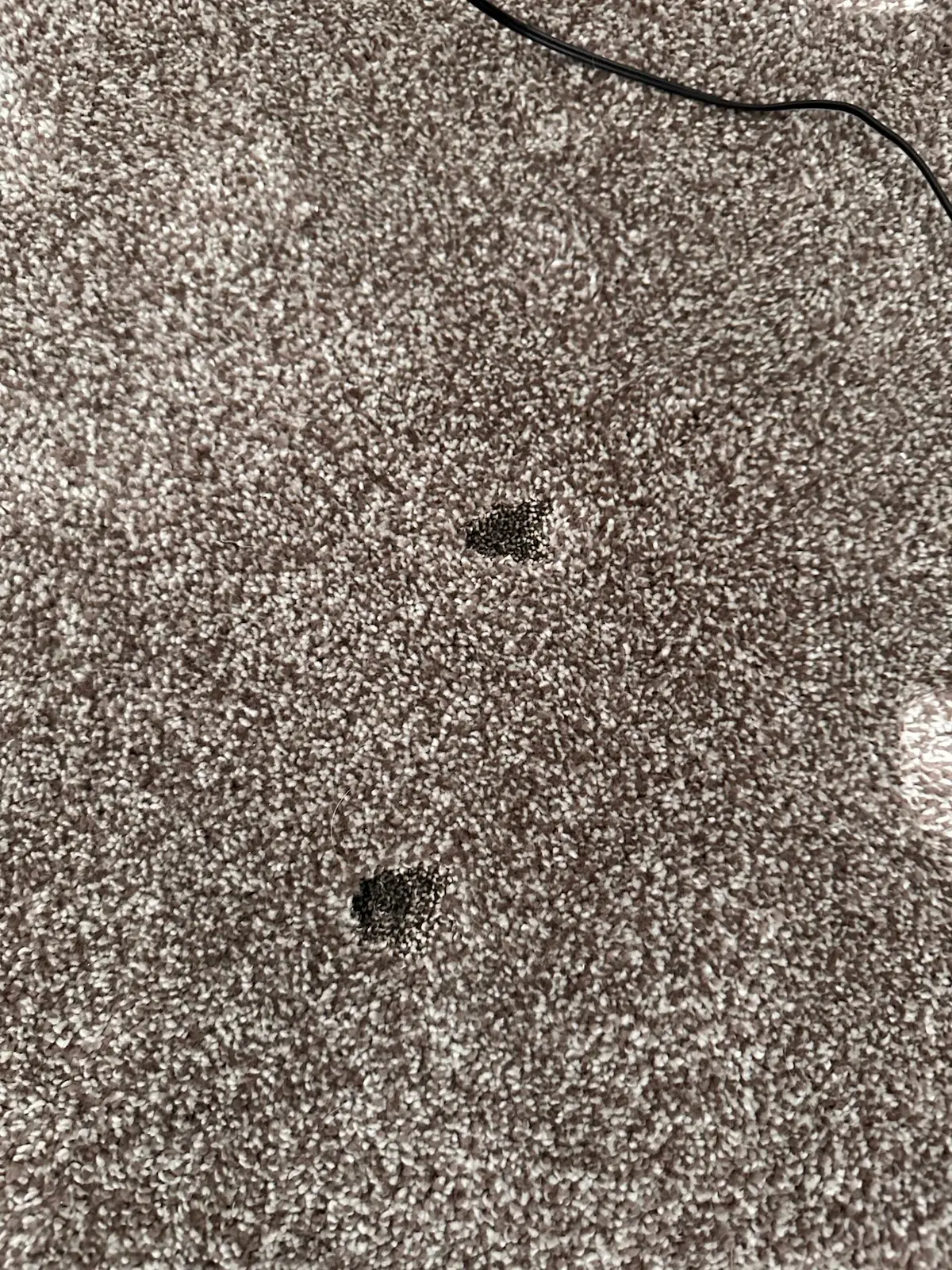 Carpet Repair & marks before