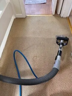 Carpet Stain Removal